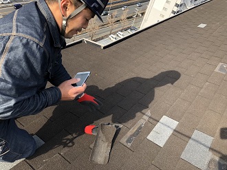 屋根材の剥がれを調査するアメピタスタッフ