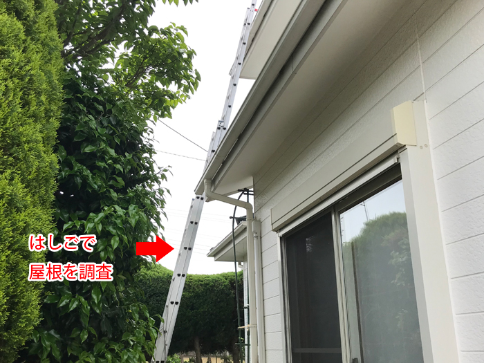 はしごでの屋根点検の様子