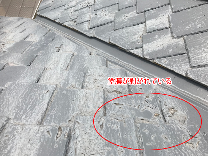 塗膜の剥がれも危険サイン