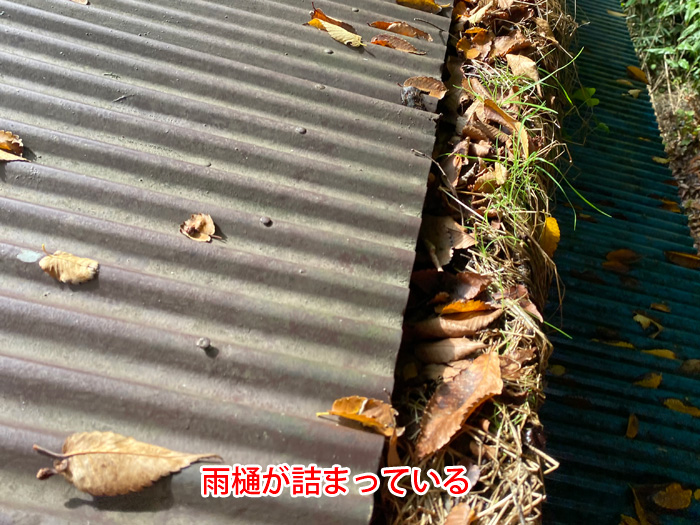 雨樋の詰まり