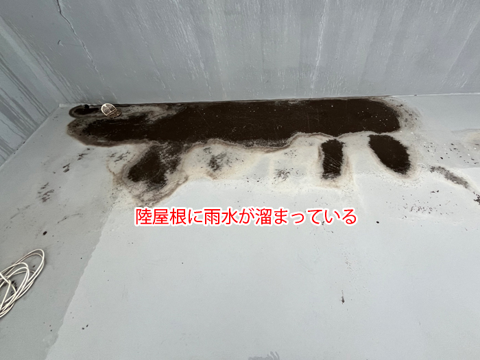 台東区千束で発生した陸屋根の雨水溜まりによる雨漏り事例｜外壁クラックからの浸水リスクと対策