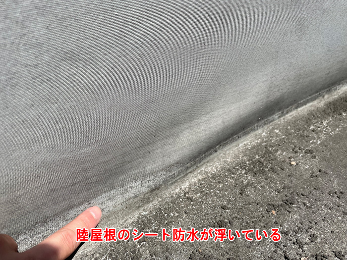 雨漏りに注意！陸屋根の雨漏り調査と修理のポイント｜千葉市中央区都町の実例