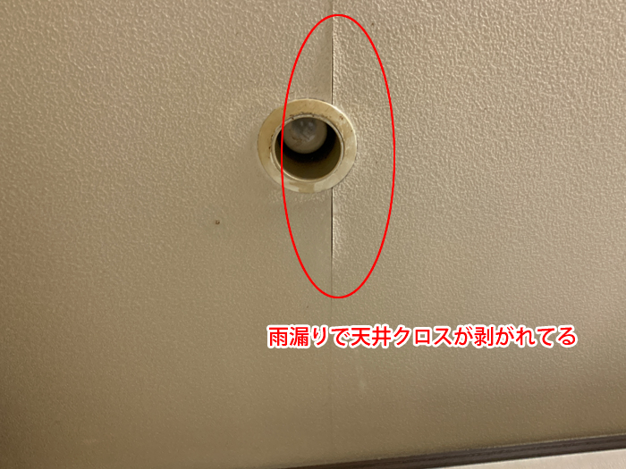 天井点検口付近で雨漏りによりクロスが剥がれている様子