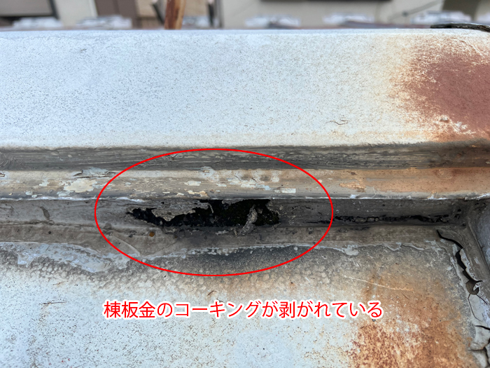 台東区浅草で発生した雨漏り調査、棟板金のコーキング剥がれが招く室内への浸水リスク