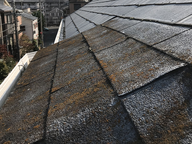 吹田市桃山台で雨漏りのため屋根点検、原因は苔の生えたアスファルトシングルの劣化