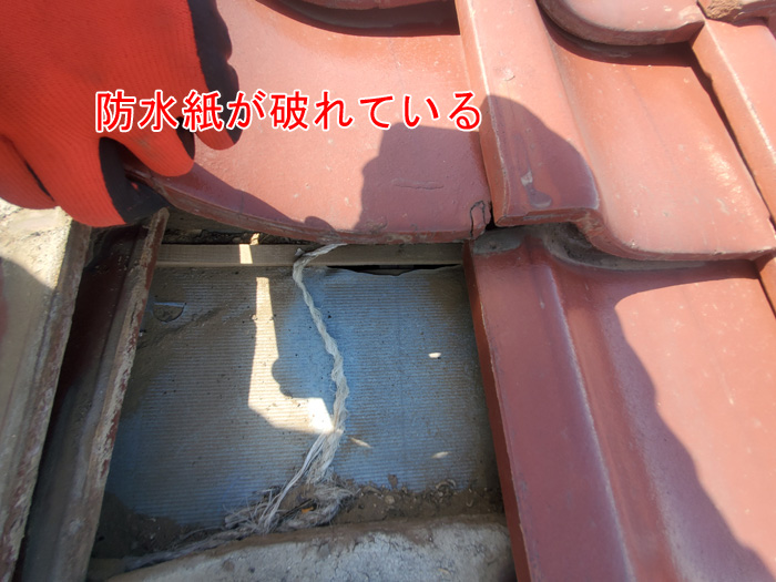 防水紙が破れている