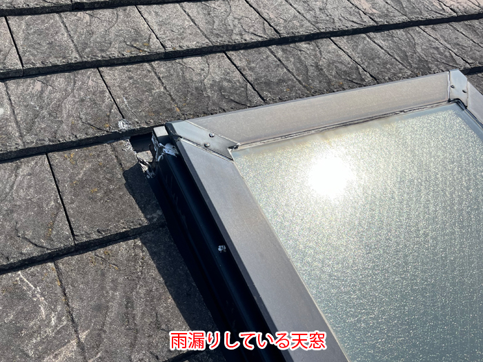 雨漏りしている天窓の写真