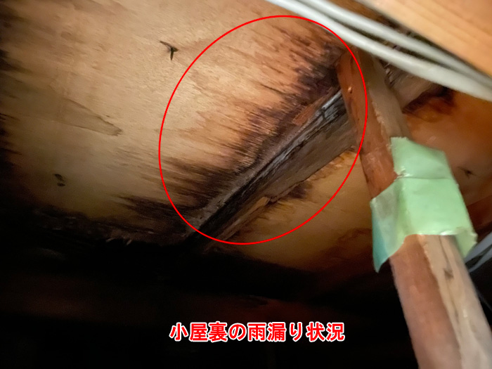 小屋裏の確認