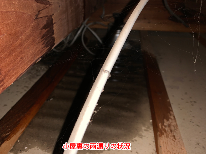 小屋裏で確認された雨漏りの状況