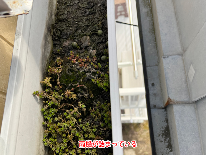 雨樋の詰まりも雨漏りの原因になります