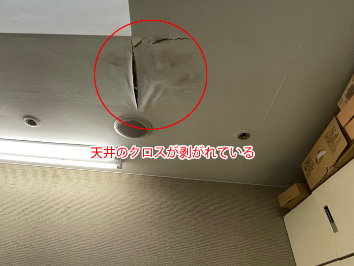 西多摩郡日の出町平井で発生した天窓の雨漏り原因とは？通し穴と外壁ひび割れから見る注意点