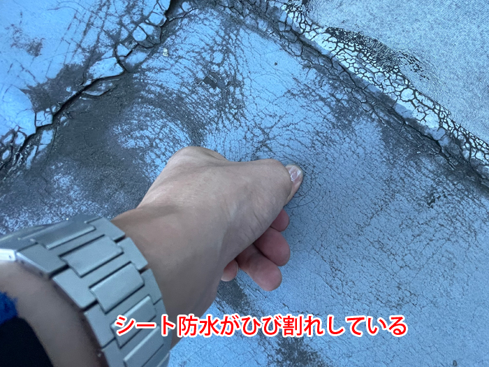 雨漏りを防ぐためのシート防水点検｜陸屋根で起こりやすい劣化症状と修繕のポイント（多摩市乞田）