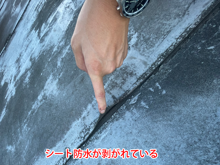 シート防水の剥がれ
