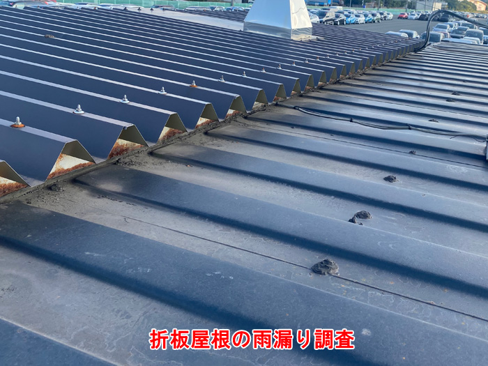折板屋根の雨漏り調査