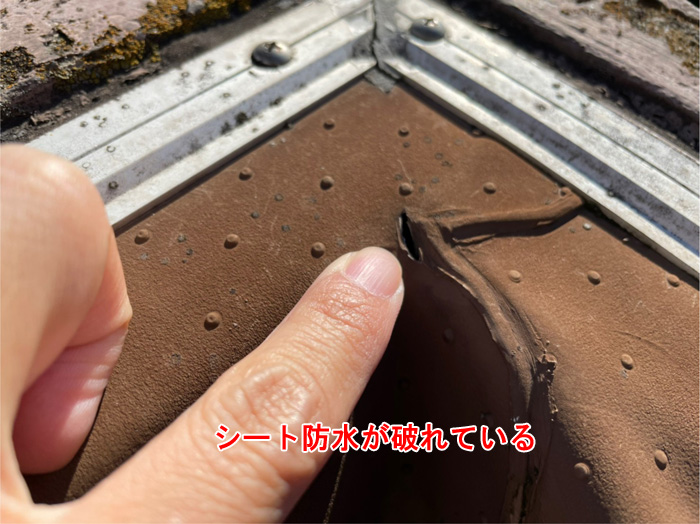 シート防水が破れている箇所