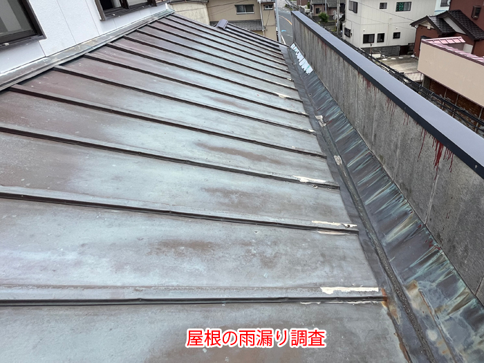 屋根全体の雨漏り調査