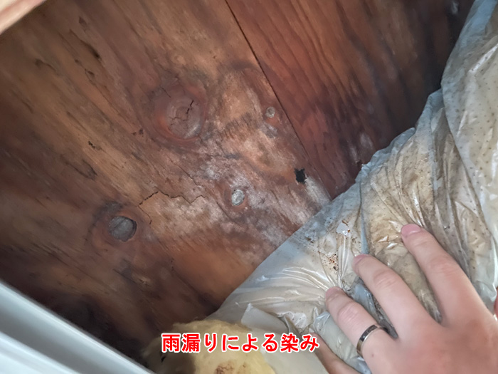 小屋裏の雨漏りによる染みと木材の腐食