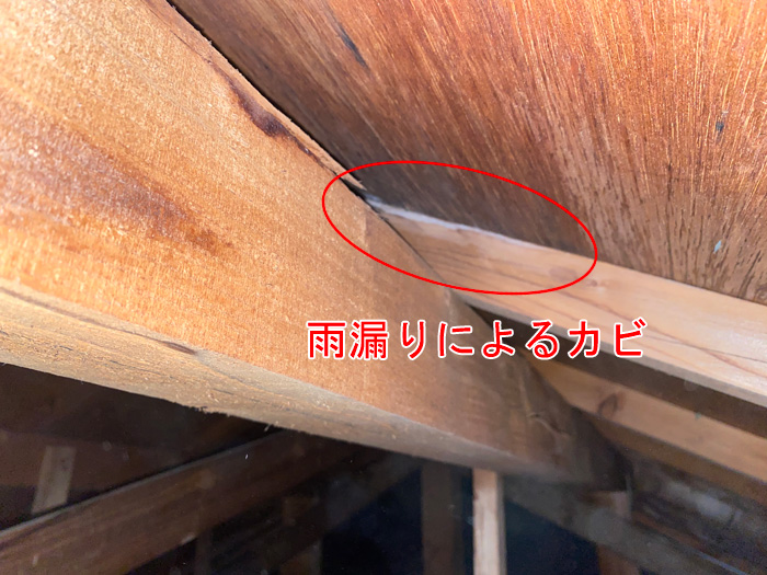 雨漏りによるカビの発生