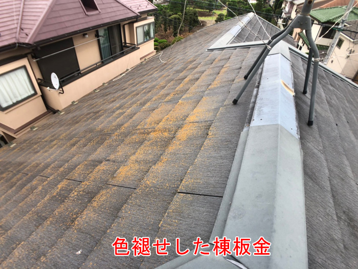 スレートに苔が生えている