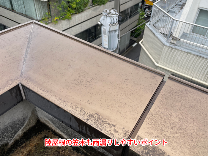 陸屋根の笠木部分を外側から撮影した写真