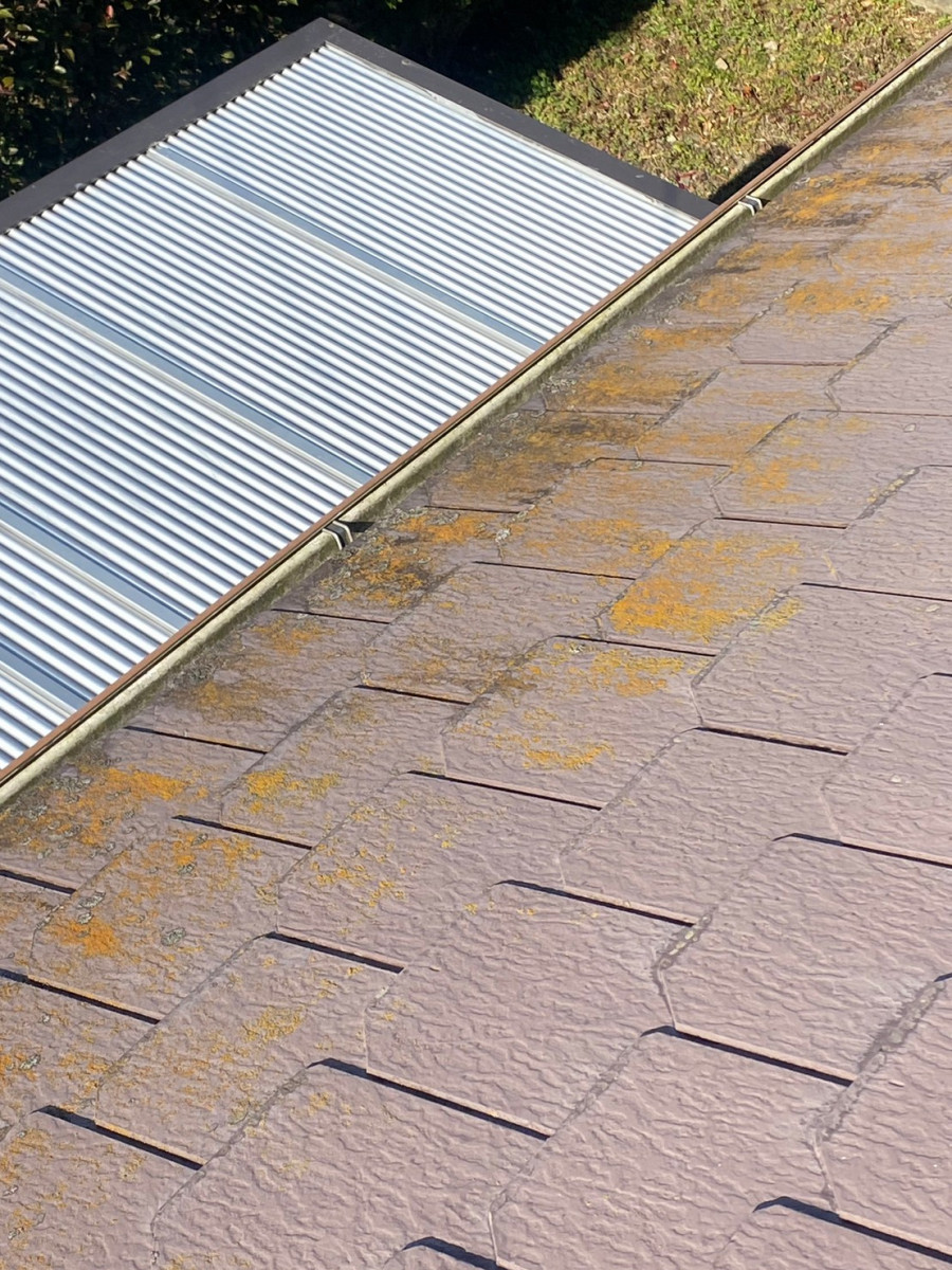 守山区でカラーベスト屋根塗膜劣化によるコケの発生