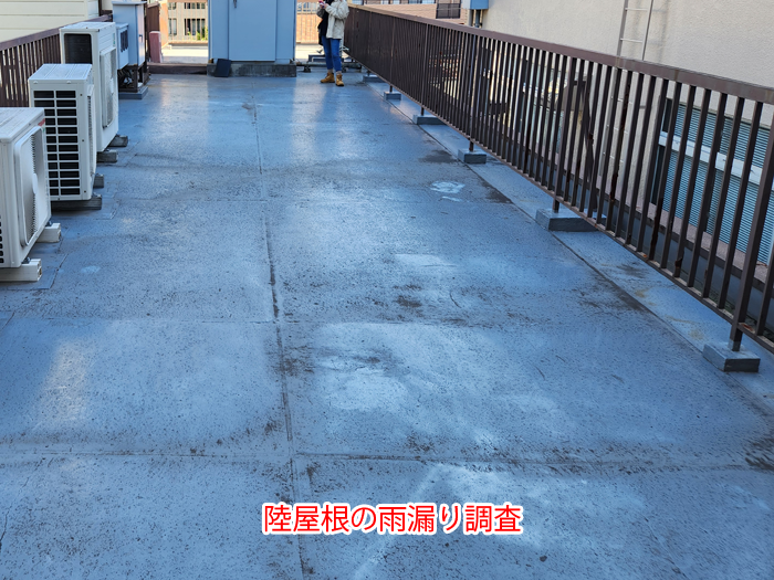 陸屋根全体の調査状況
