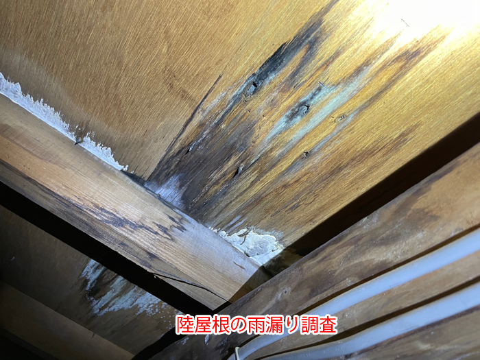 市川市八幡でスレート屋根の雨漏り調査、雨樋固定部まわりの浸水と野地板の染みを確認