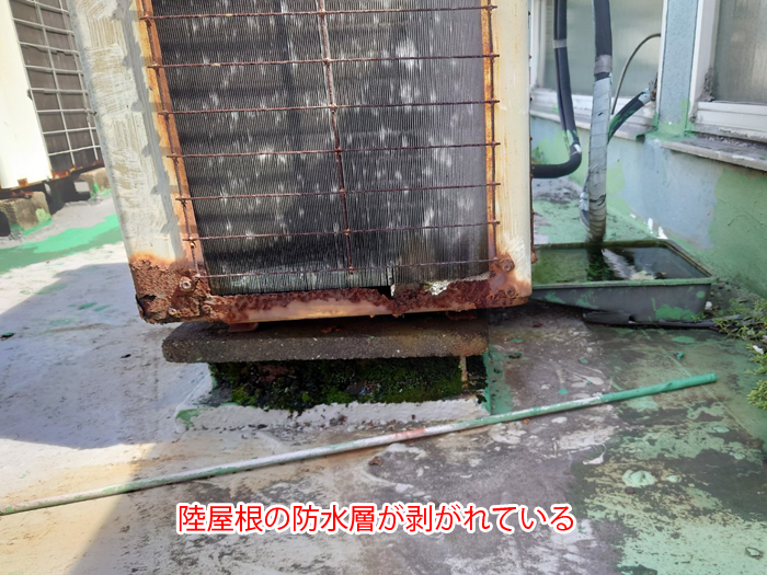 印西市大森で雨漏り調査、陸屋根の防水層劣化と古いコーキングで天井まで傷んだ現場