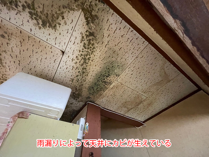 浦安市北栄で雨漏り調査、金属屋根下の腐食とベランダ周辺の雨樋変形、天井カビを確認