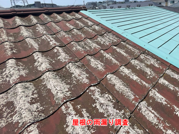 屋根の雨漏り調査の様子