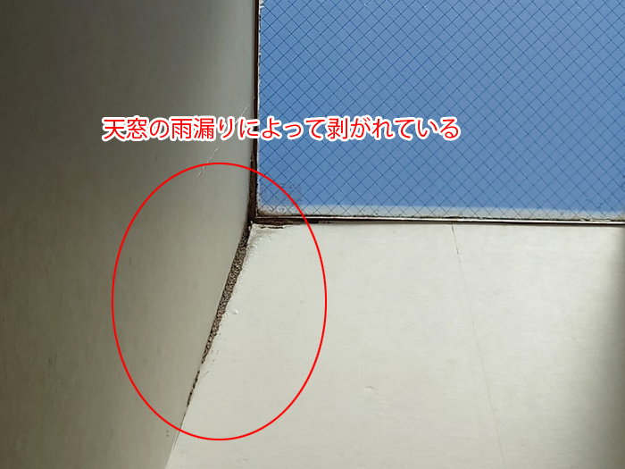 墨田区本所で発生した天窓の雨漏り｜コーキング劣化が原因となる症状と対処方法を解説