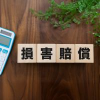 賠償責任の模型