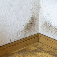 部屋の隅の壁紙にカビ