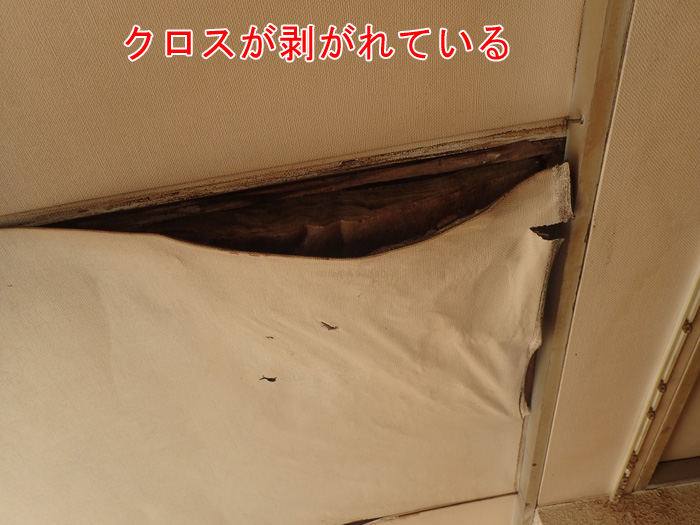 雨漏りによるクロスの剥がれ