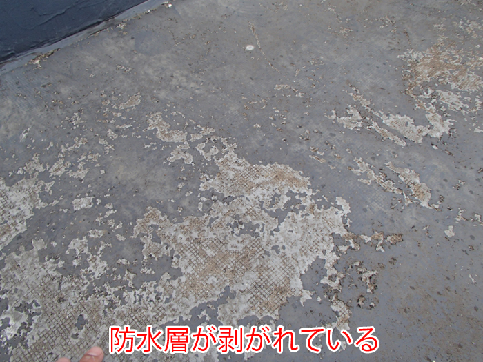 陸屋根の防水層の劣化