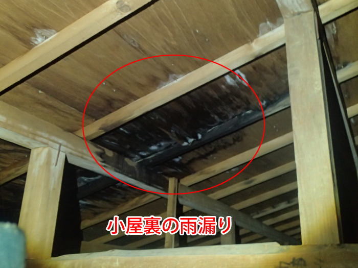 小屋裏で確認された雨漏り
