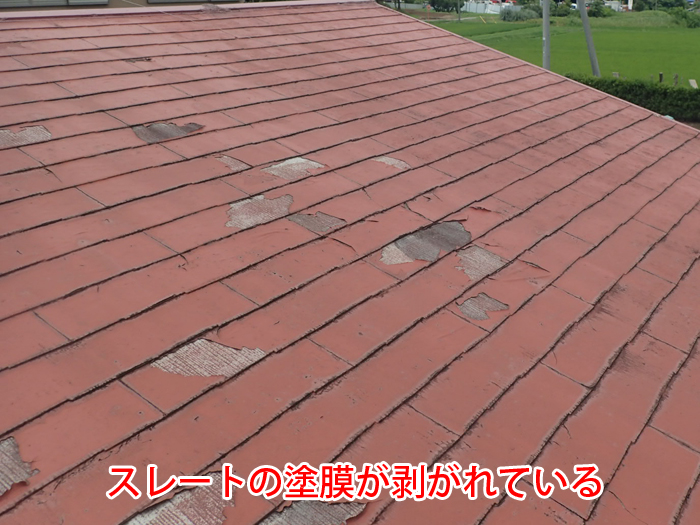 屋根スレートの塗膜剥がれ