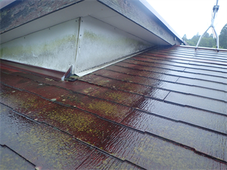 濡れている屋根材