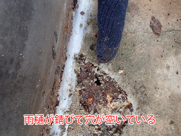 陸屋根の雨漏りは雨樋の防水工事で解決できる？原因と施工事例を解説