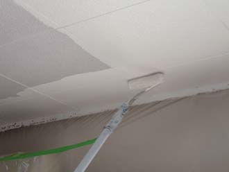 水性エコエースとエコフラット60を使って天井を塗装