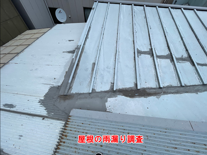 屋根表面の調査結果