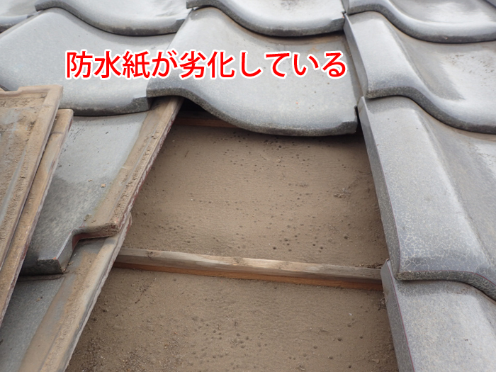 瓦の下に敷かれた防水紙が劣化