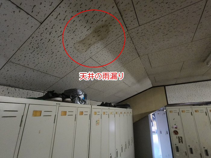 多摩市乞田で発生した雨漏りに注意！波板スレート屋根の劣化症状と対策方法を解説