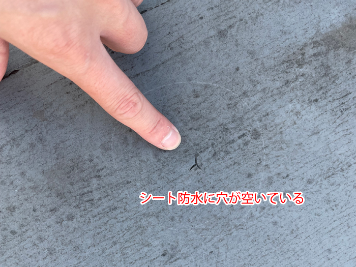 シート防水に穴が空いている写真