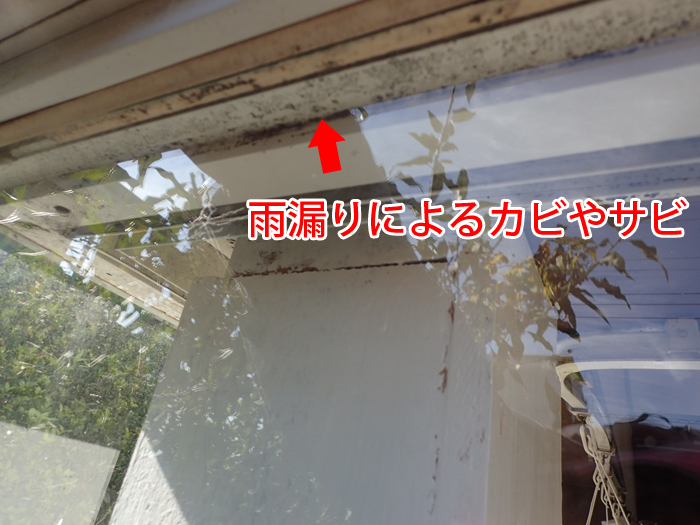 雨漏りによるカビやサビ