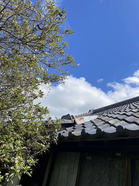 さいたま市　１階建て　雨漏り