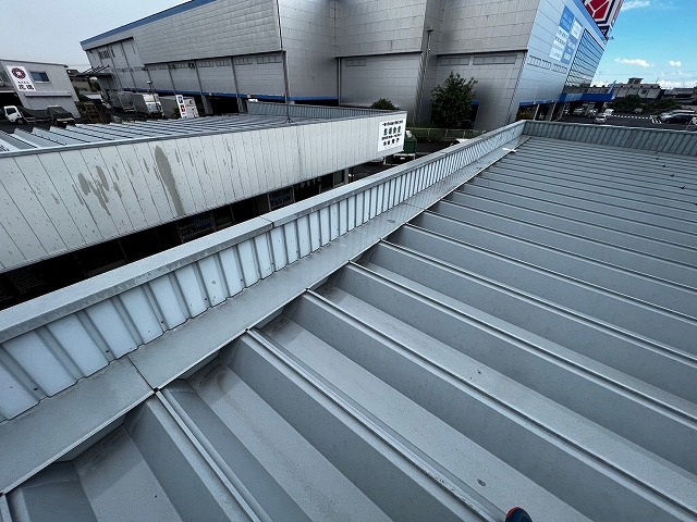 春日部市　雨漏り調査