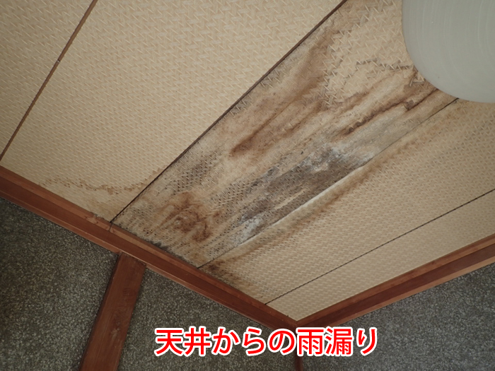天井に現れた雨染みは雨漏りのサイン