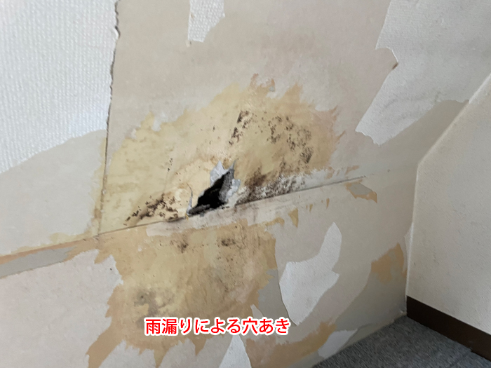 陸屋根の雨漏りはコーキング劣化が原因かも？荒川区東尾久の住まいで実際に多い事例と対策