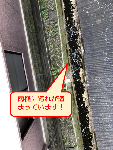 富士市雨漏り雨樋汚れ